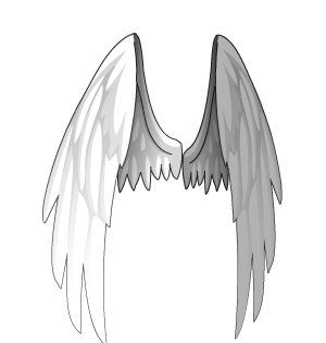 Celestial Wings of Guiding