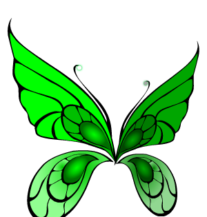 Green Grove Fairy Wings