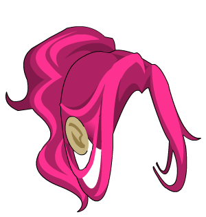 Visage Locks