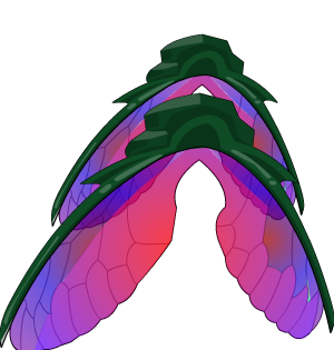 Double Jewelled Fly Wings