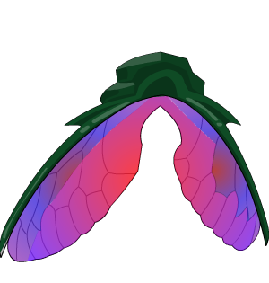 Jewelled Fly Wings