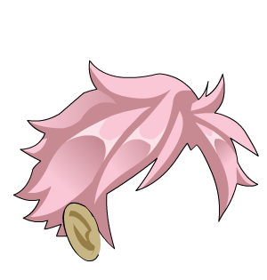 Cozy Pink Hair