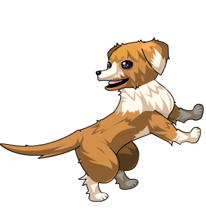 Puppy On Your Back