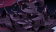 Obscured r2