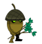 Acornus