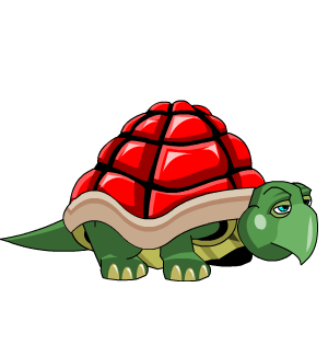 Red Shell Turtle
