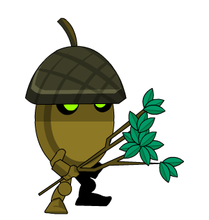 Acornus